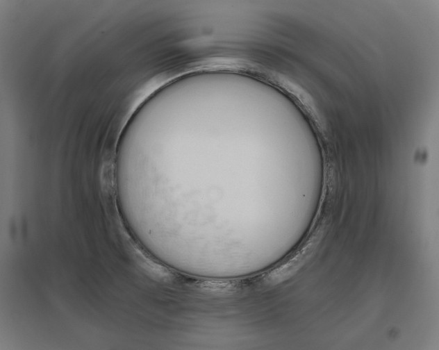 X0000096731473200803041212