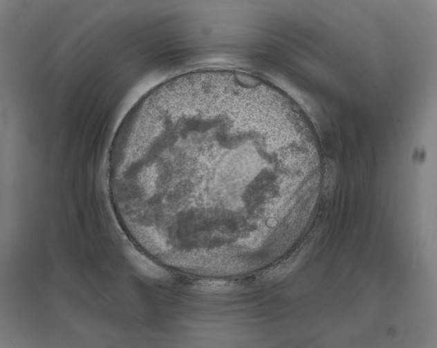 X0000096731474200803041212