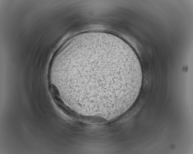 X0000096731475200803041212