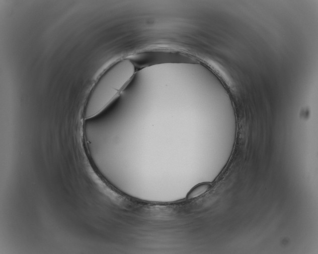 X0000096731476200803041212
