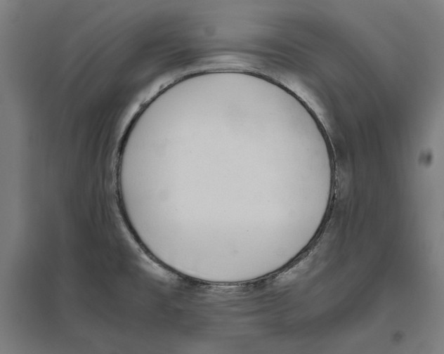 X0000096731477200803041212