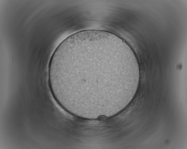 X0000096731479200803041212