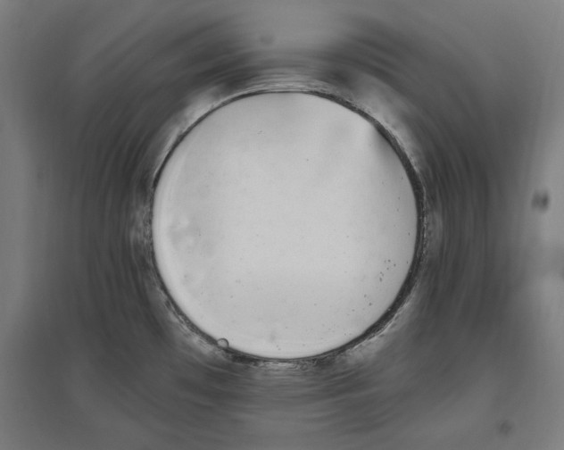 X0000096731481200803041212