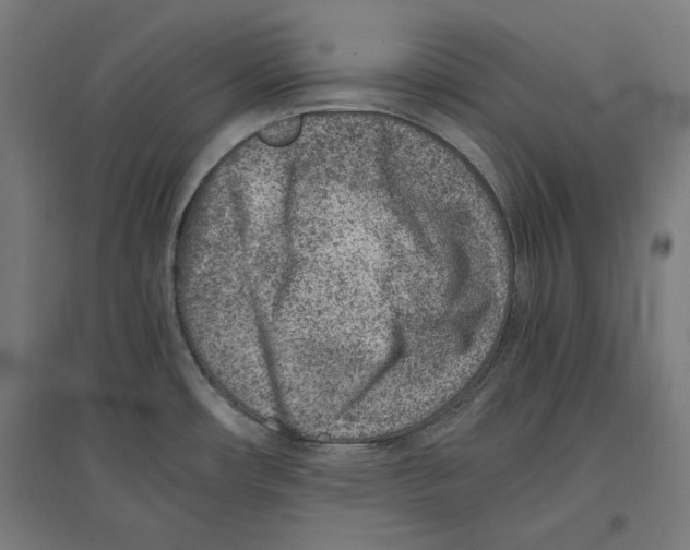 X0000096731482200803041212