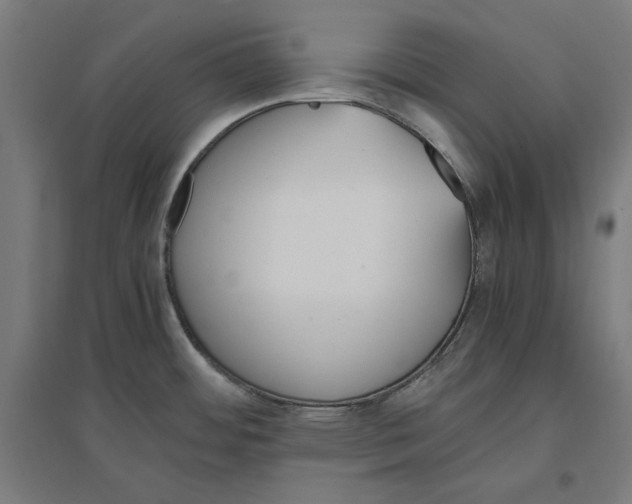 X0000096731484200803041212
