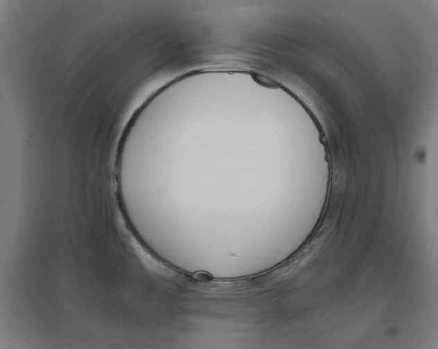 X0000096731485200803041212