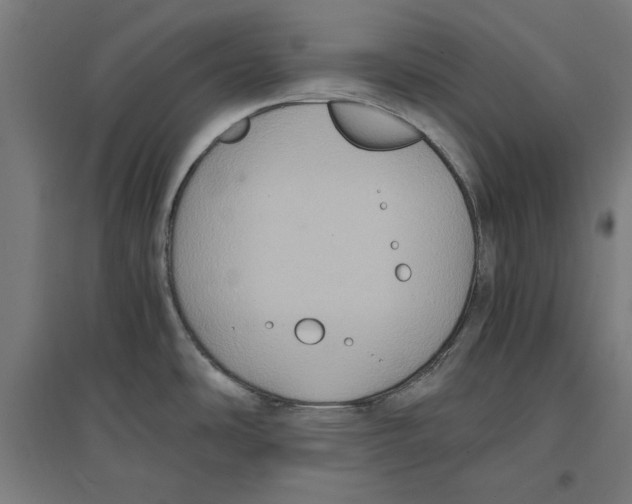 X0000096731486200803041212