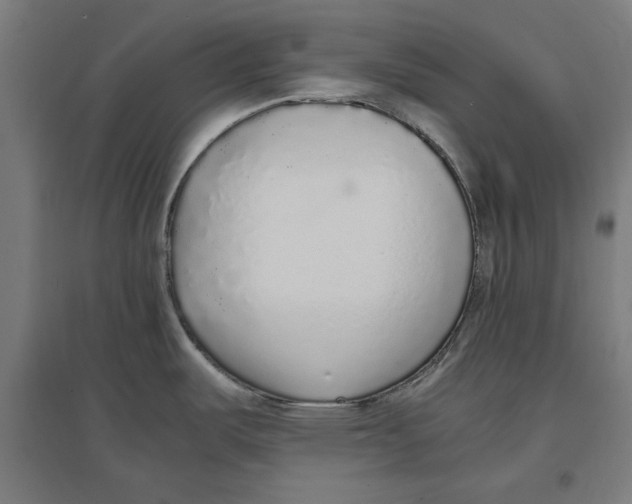 X0000096731487200803041212