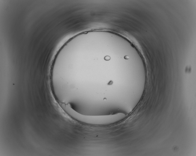 X0000096731488200803041212
