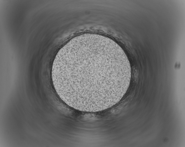 X0000096731489200803041211