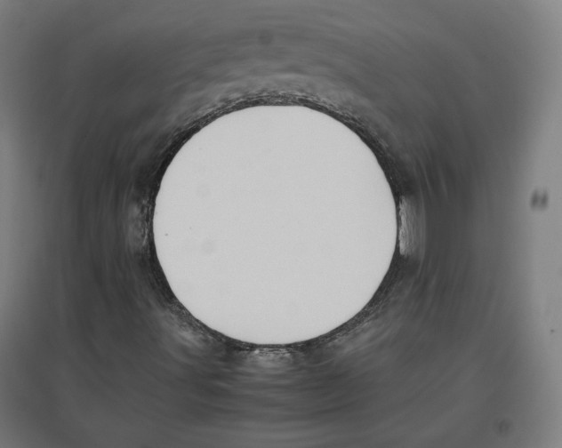 X0000096731491200803041211