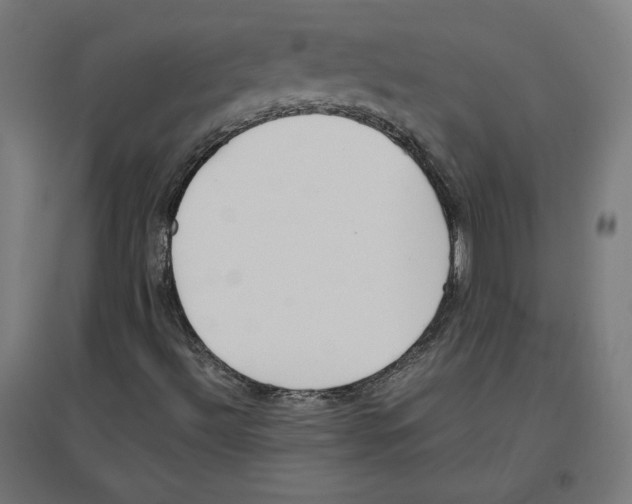 X0000096731492200803041211