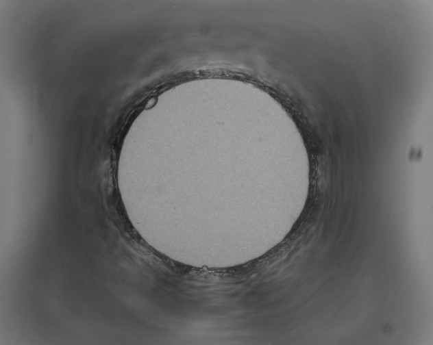 X0000096731493200803041211