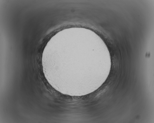 X0000096731494200803041211