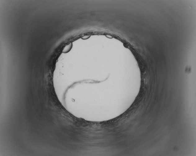 X0000096731495200803041211