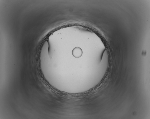 X0000096731496200803041211