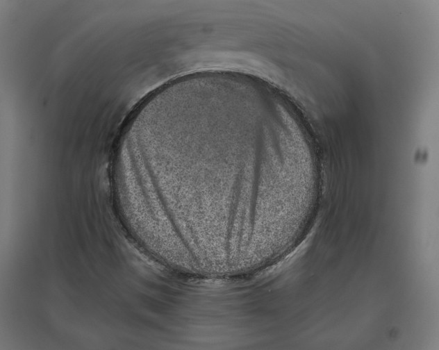 X0000096731497200803041211