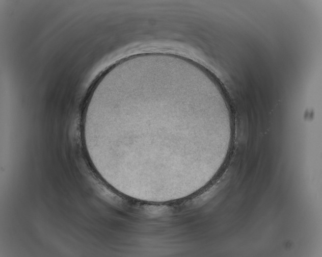 X0000096731498200803041211