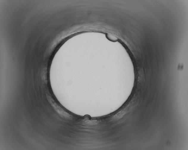 X0000096731499200803041211