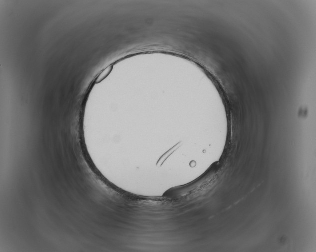 X0000096731500200803041211