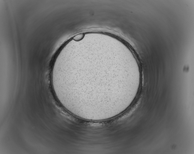 X0000096731501200803041211