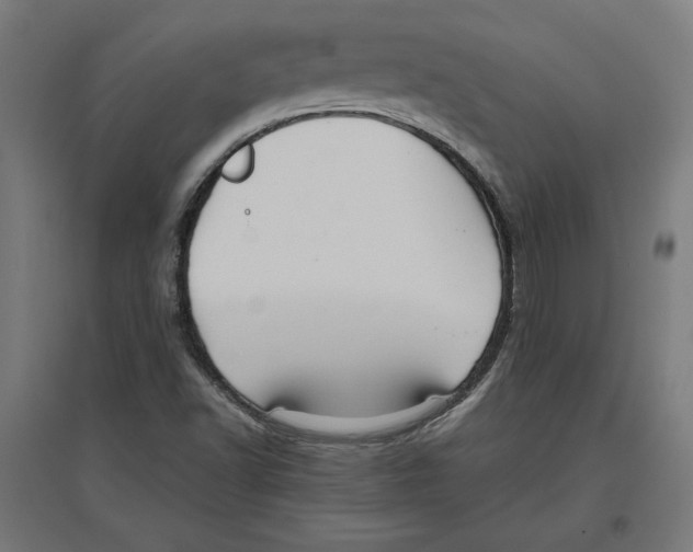 X0000096731502200803041211