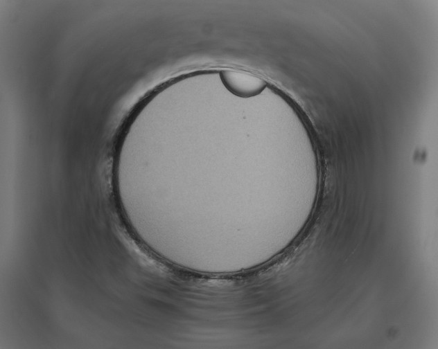 X0000096731503200803041212