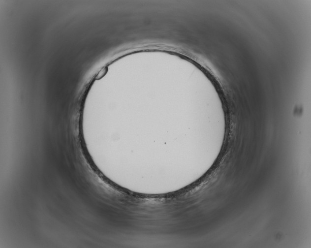 X0000096731504200803041212