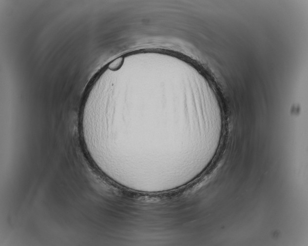 X0000096731505200803041212