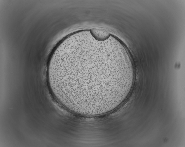 X0000096731507200803041212