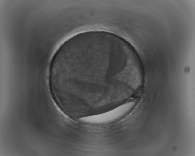 X0000096731508200803041212