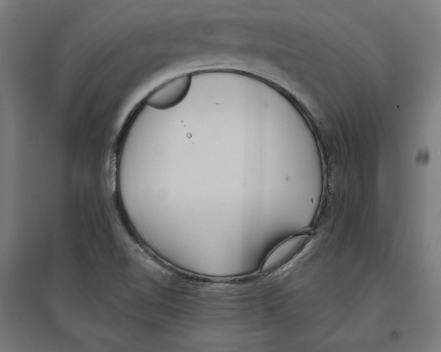 X0000096731510200803041212