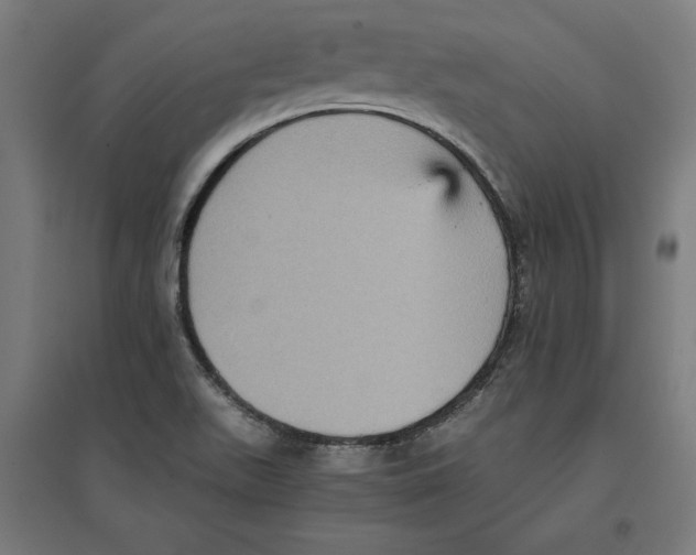 X0000096731511200803041212