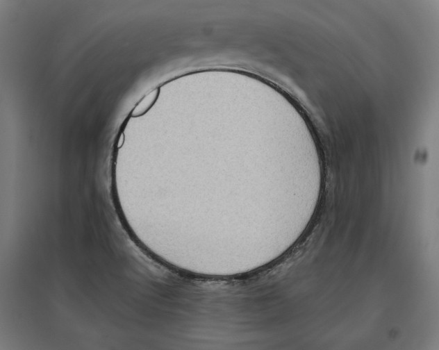 X0000096731512200803041212