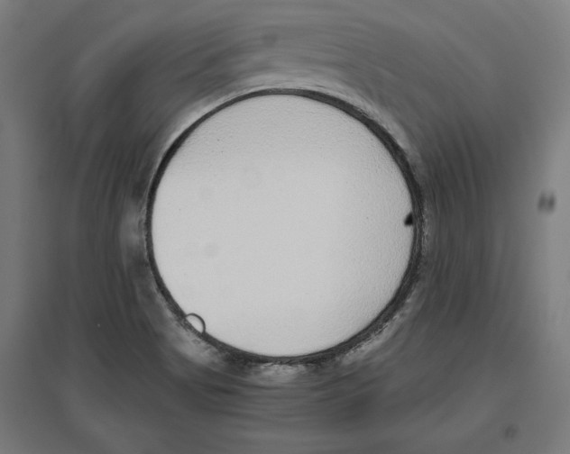 X0000096731513200803041212