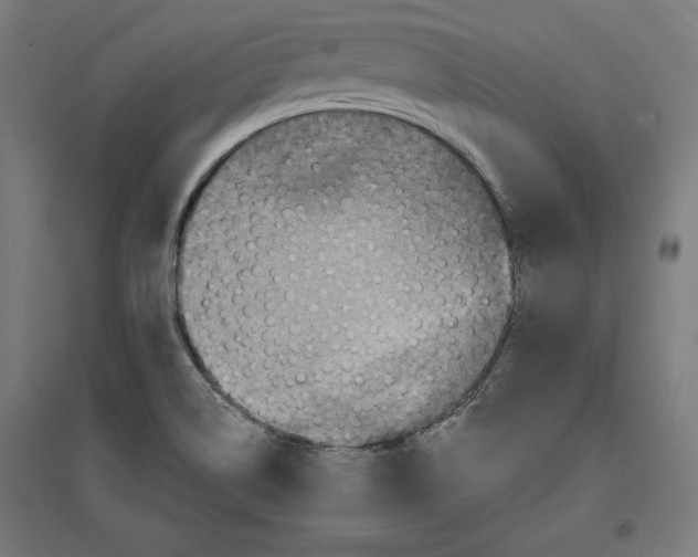 X0000096731514200803041212