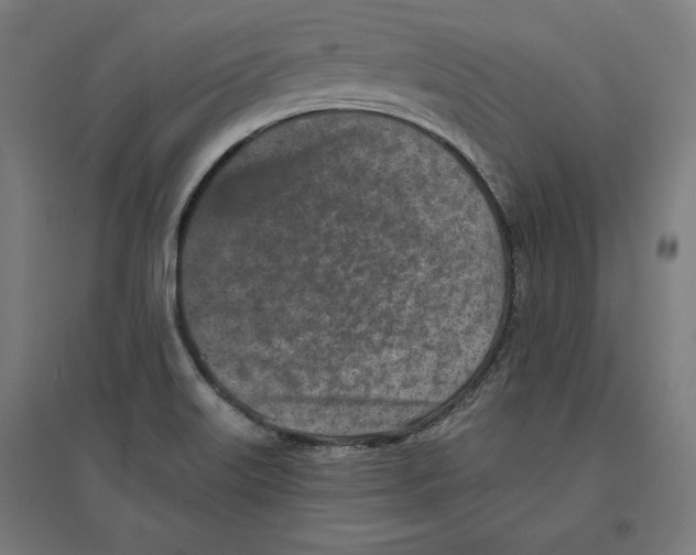 X0000096731515200803041212