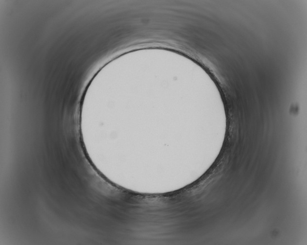 X0000096731516200803041212