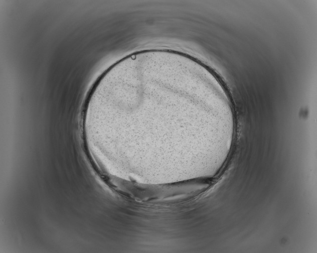 X0000096731517200803041212