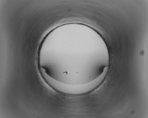 X0000096731518200803041212