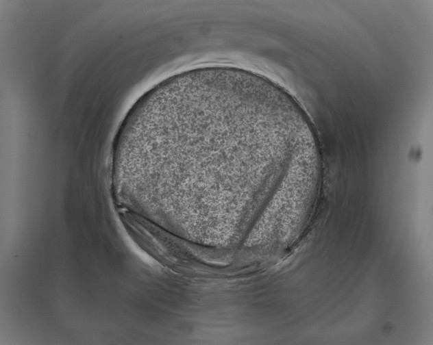 X0000096731519200803041212