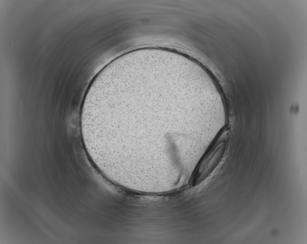 X0000096731521200803041212
