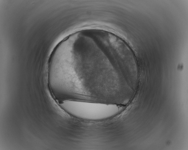 X0000096731522200803041212