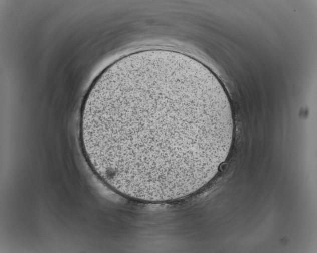 X0000096731523200803041212