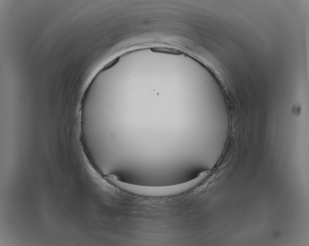 X0000096731524200803041212