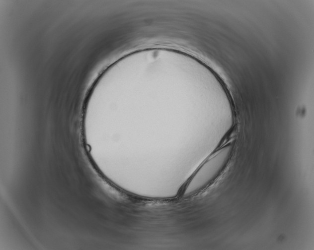 X0000096731525200803041212