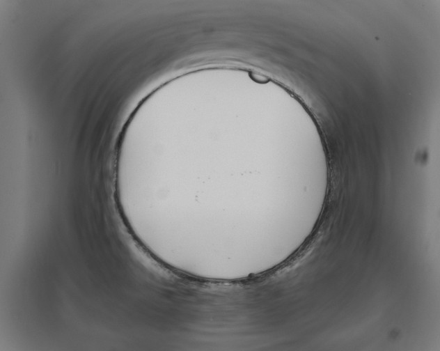 X0000096731526200803041212