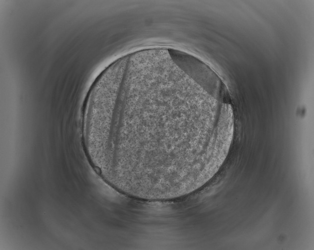 X0000096731527200803041212