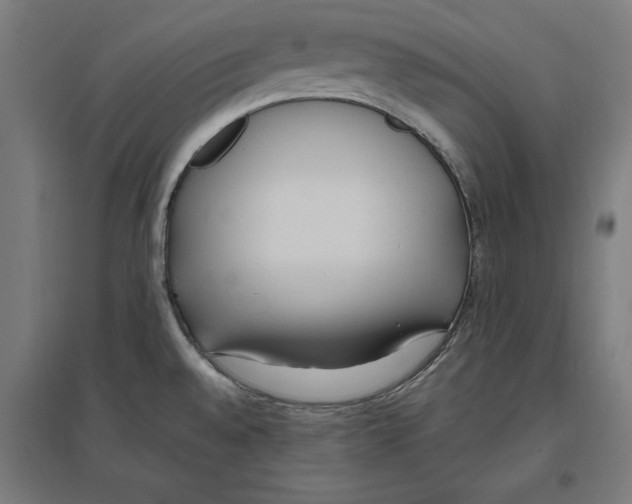 X0000096731528200803041212