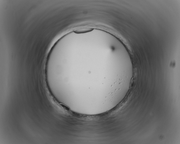X0000096731530200803041212